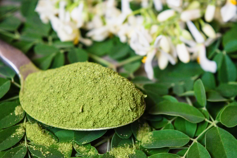 The Hidden Health Benefits of Moringa