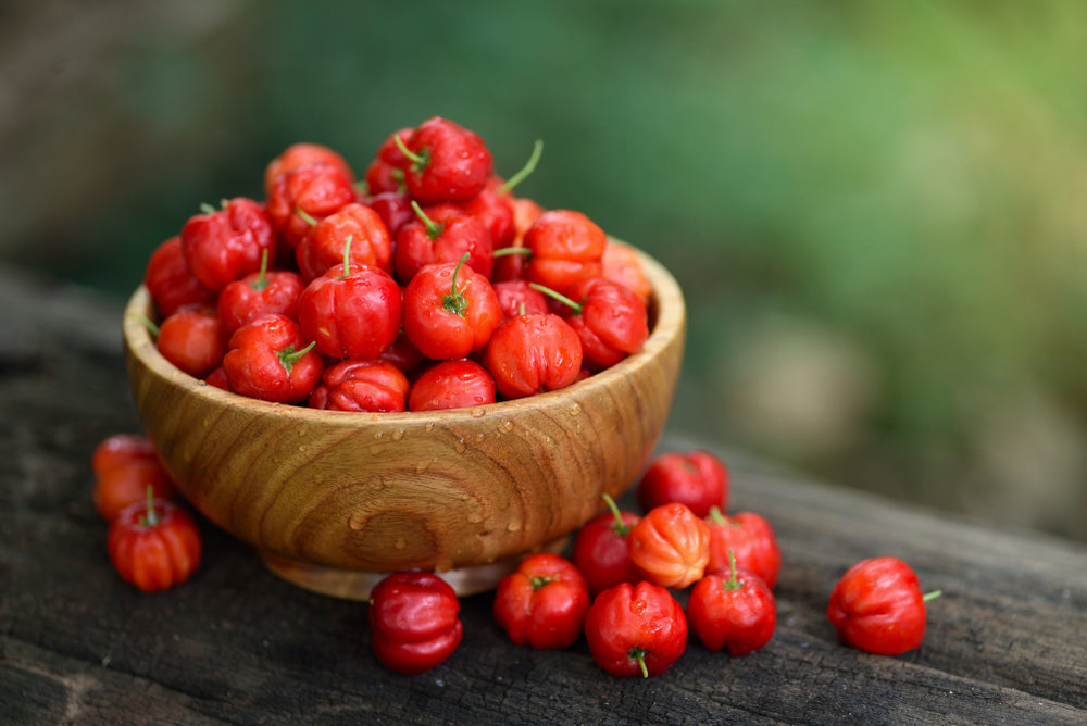 The Acerola Cherry: A Nutritional Powerhouse