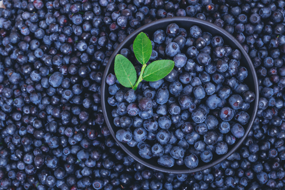 Explore the Amazing Health Benefits of Berries