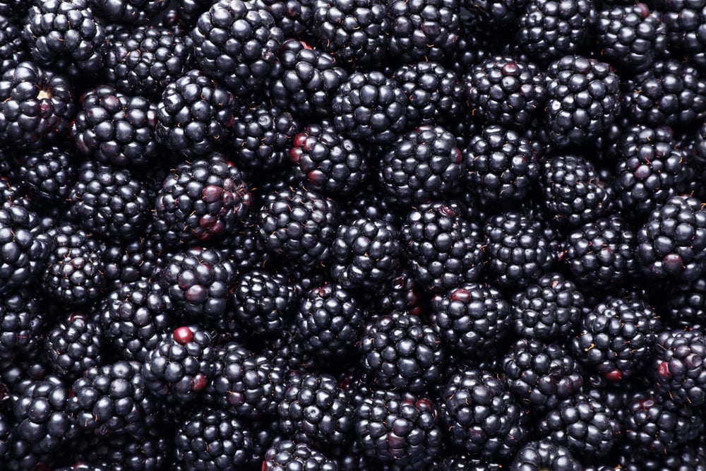 The Nutritional Facts and Health Benefits of Blackberries