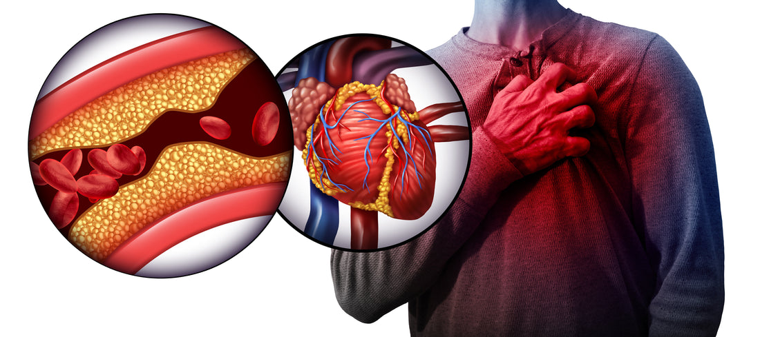The Relationship Between Cardiovascular Health and Overall well-being