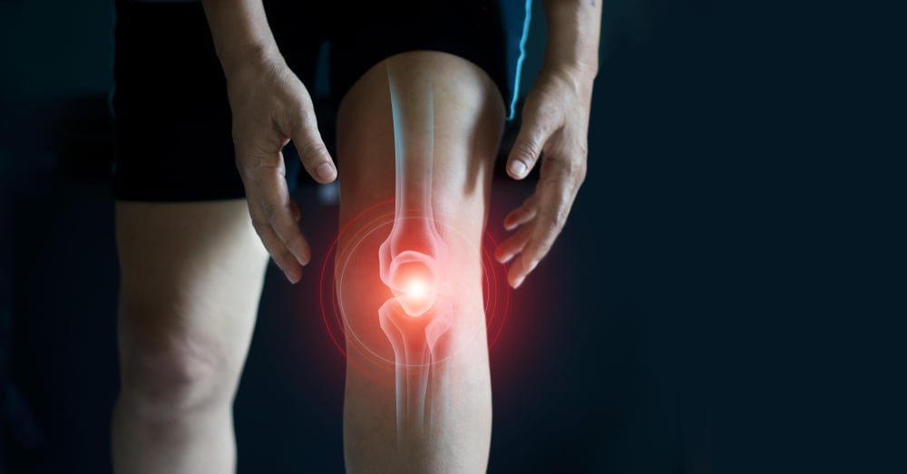 The Relationship Between Bones And Health