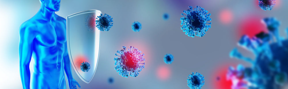 The Immune System: How It Works and How to Keep It Healthy