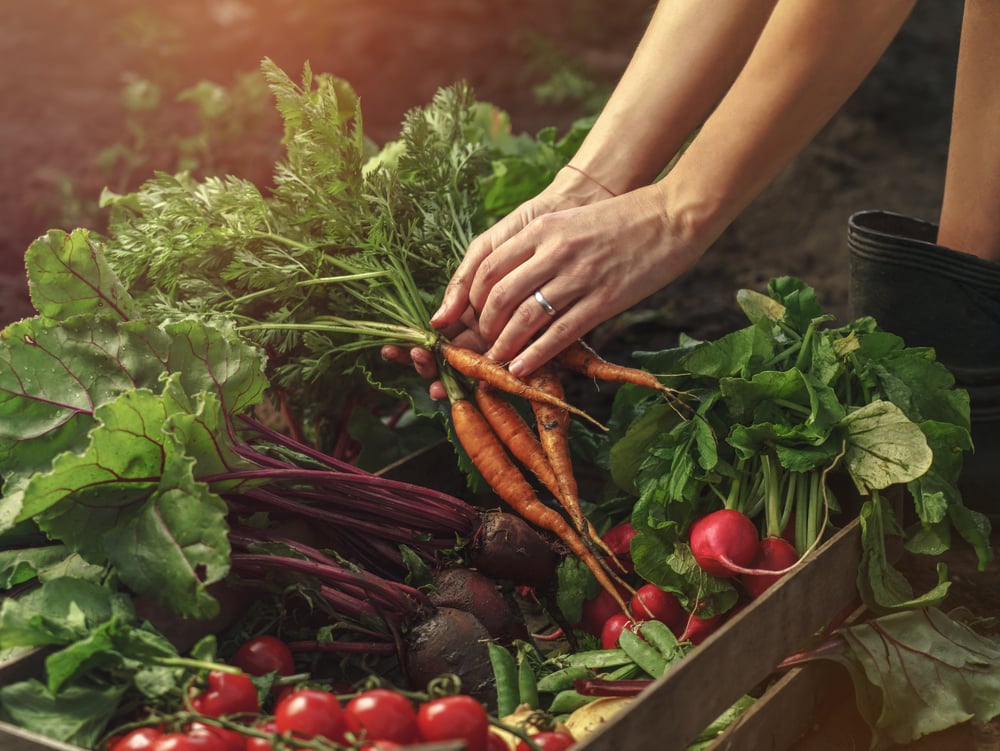 The Health Benefits of Beets
