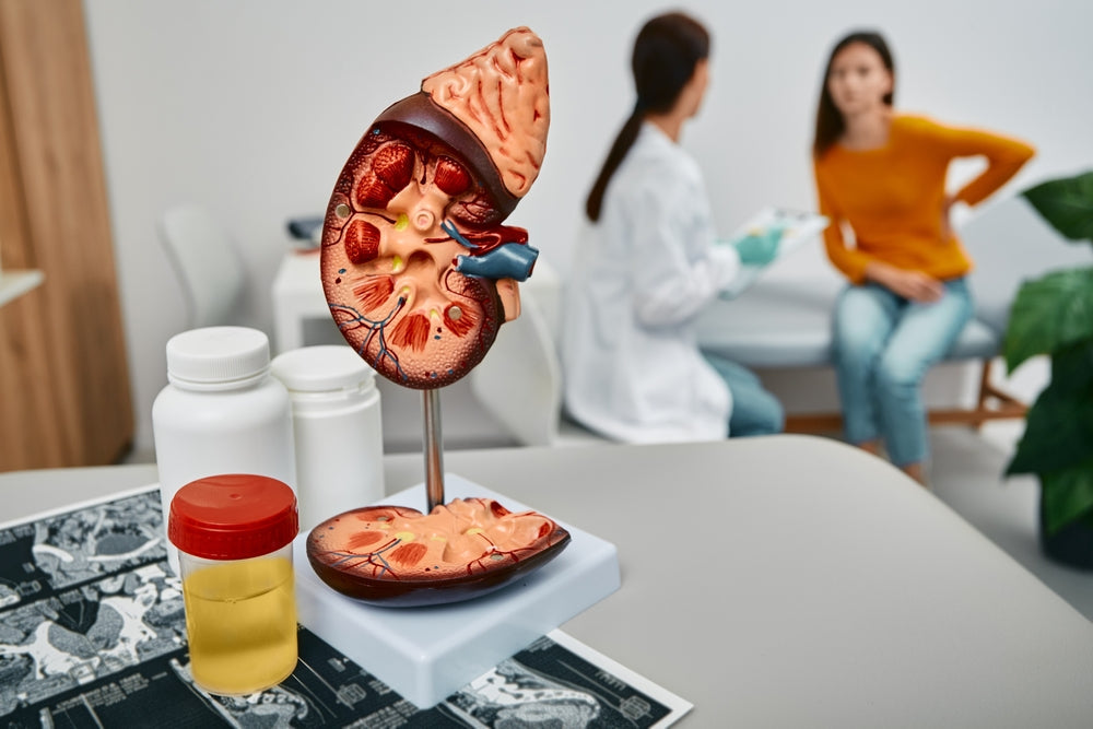 5 Best Kidney Detox Foods That You Probably Haven't Heard Of