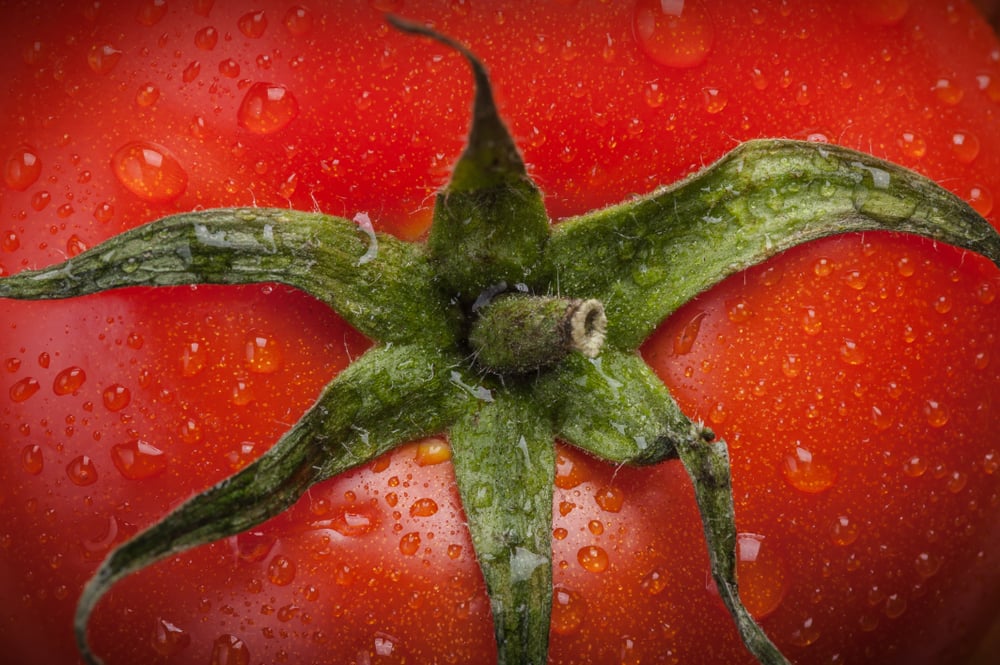 Tomatoes: The Wonder Food That Can Improve Your Health In So Many Ways