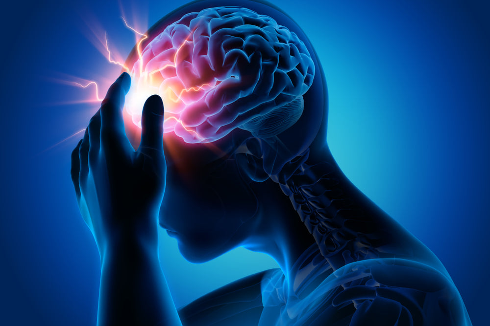 The Relationship Between Your Brain And Your Overall Health