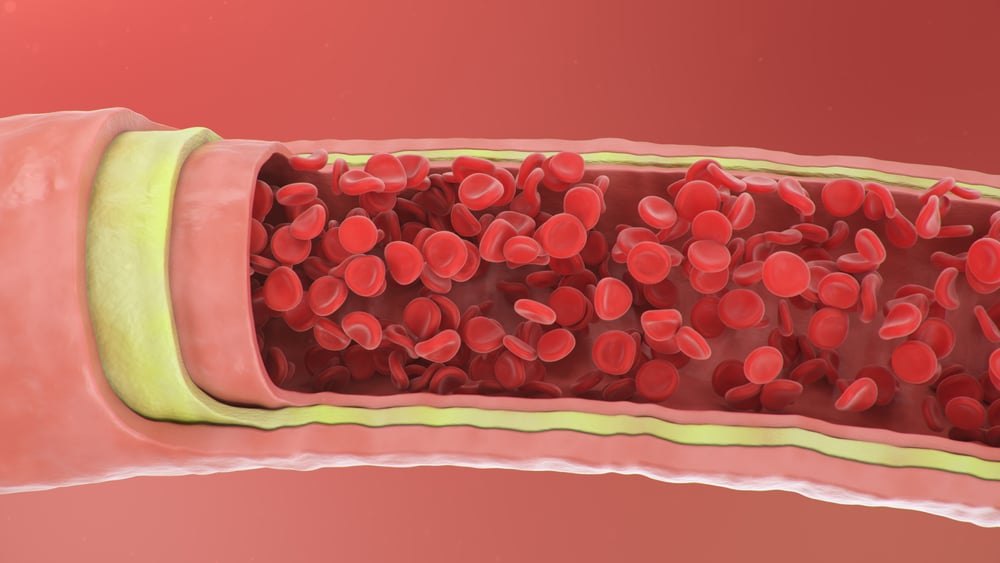The Relationship Between Blood And Health: What You Should Know
