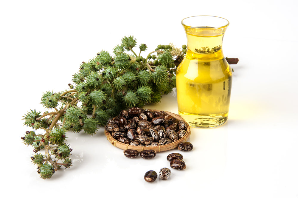 The Many Benefits of Castor Oil
