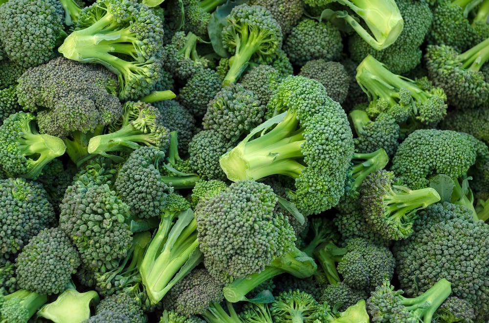 The Many Benefits of Eating Broccoli