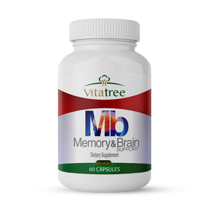 Memory and Brain Support