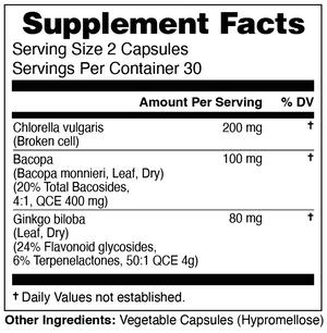 Memory and Brain Support
