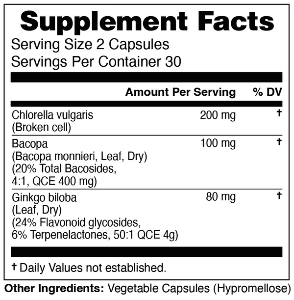 Memory and Brain Support