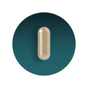 Immune Support