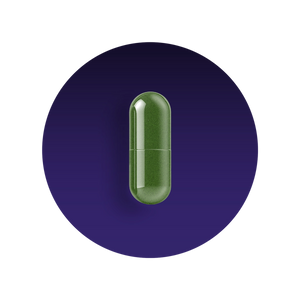 Memory and Brain Support