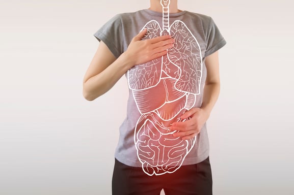 shutterstock_1381642538